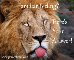 7steprightthinkinglion_800