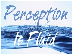 Perception-Is-Fluid